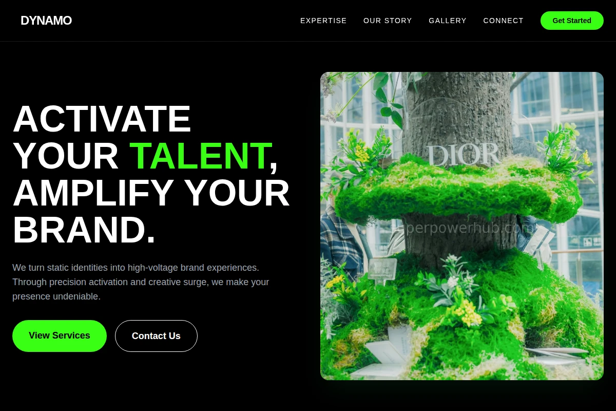 Dynamo Brand Activation