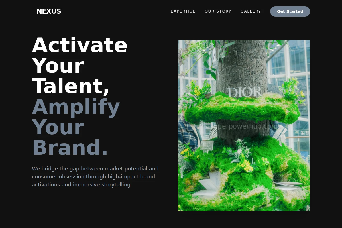 Nexus Brand Activation