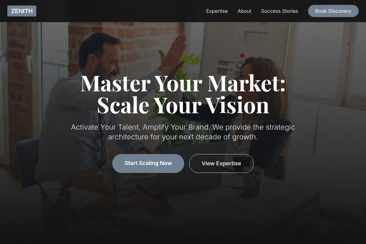 Zenith Business Coach