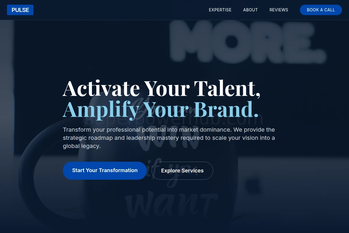 Pulse Business Coach